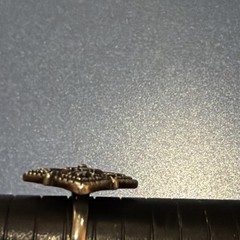 Sterling Silver 925 Vintage Style Silver And Black Ring 7