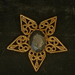 No brand Goldtone Star with Oval Black Stone Pin