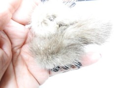 1950’s Real Mink Fur Cat Brooch Vintage
