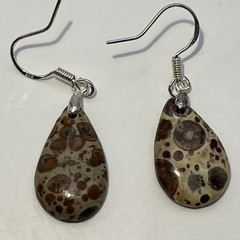 Teardrop Asteroid Jasper Sterling French Wire Earrings Natural Gemstone Casual
