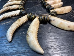 Vintage Nepal Shell Tusk Necklace • Himalayan Tribal Statement Necklace • Handc