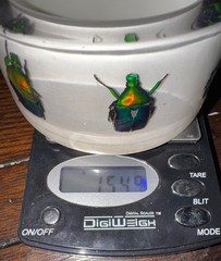 HUGE Kolos Designs Egyptian Revival Resin Lucite REAL Beetle Bug Estate Bracelet