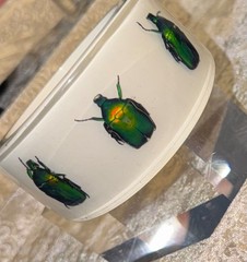 HUGE Kolos Designs Egyptian Revival Resin Lucite REAL Beetle Bug Estate Bracelet