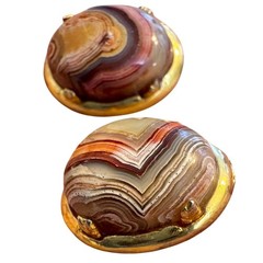 Vtg Laguna Lace Agate Earrings 12K GF Screw Back JJJ Signed Cabochon Gold Filled