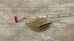 Goldtone Feather Pin—preowned
