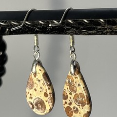 Teardrop Asteroid Jasper Sterling French Wire Earrings Natural Gemstone Casual
