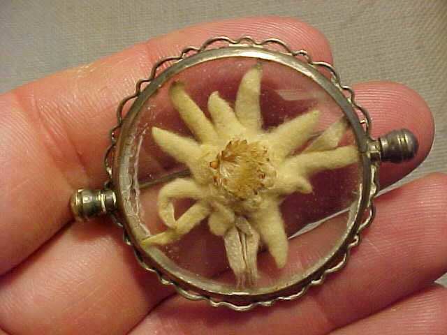 ORIGINAL ANTIQUE ENCAPSULATED EDELWEISS FLOWER PIN BROOCH MOUNTAIN CLIMBER