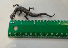 VINTAGE GECKO/LIZARD BROOCH/PIN SILVER 3.75 INCHES MARCASITE