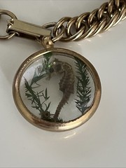 VTG Preserved Seahorse Bracelet Lucite Charm Fob Gold Tone 7″