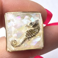 Rare 1960s Genuine Seahorse Confetti Lucite Domed Cuff Links-aquatic Sea Life