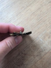 Antique 19th Century Gilt Enamel Victorian Belt Buckle Scarf Clasp