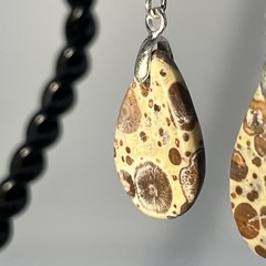 Teardrop Asteroid Jasper Sterling French Wire Earrings Natural Gemstone Casual