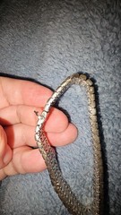 ART DECO DIAMONBAR STERLING SILVER BLUE & CLEAR RHINESTONE BRACELET VTG.Read Des