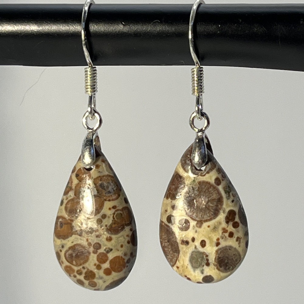 Teardrop Asteroid Jasper Sterling French Wire Earrings Natural Gemstone Casual