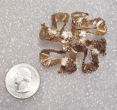Henkel Grosse Germany 1968 Signed Textured Abstract Gold Tone Brooch Pin C647
