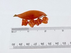 Vintage Russian Amber Factory Lily Of The Valley Carved Baltic Amber Pin Brooch