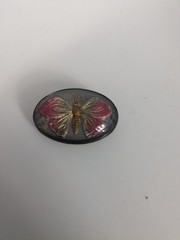 Vintage Domed Glass Butterfly Brooch Brass Base Reverse Painted Goofus Glass
