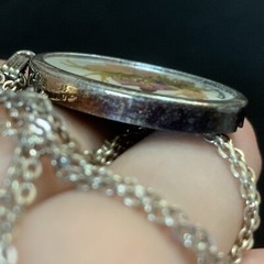 Vtg OOAK Artisan Encased Dried Flower Pendant Chain Necklace ST 24” Signed
