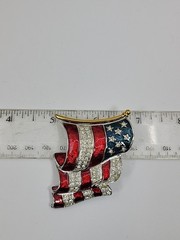 Ann Hand Signed Pledge Of Allegiance Large American Flag Brooch Pin