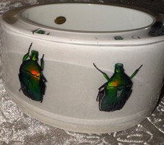 HUGE Kolos Designs Egyptian Revival Resin Lucite REAL Beetle Bug Estate Bracelet