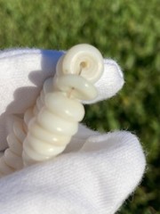 Vintage Hawaiian Surfer Puka Shell Bead Necklace 15 Inch Graduated up to 12+mm