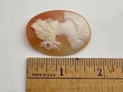 Antique Vintage Unmounted Hand Carved Shell Cameo 45mm X 30mm- 7 grams
