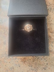 10K Solid Gold Lion Head Ring Size 13.5