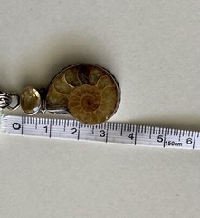 Ammonite Fossil Gemstone Bezel Set 1.75” Pendant 925 Sterling Silver 9.45g Vtg.