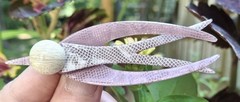 Lea Stein Paris France Fused Plastics Swallow Bird Pin Brooch Lilac Purple