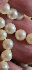 Vtg Cultured Natural Ivory Pearl Individualy Knotted Opera Lenth Pearl Necklace
