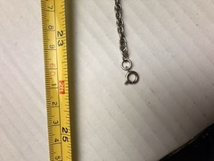 Vintage Edlee Leo Astrology Zodiac Rock Pendant Necklace Long 24” Silver Tone