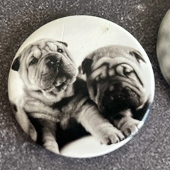 Dog Face Button Pinback Pin Lot Pug Labrador Animal Lover Vintage Collectables