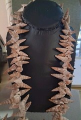 Polynesian seashell vintage ceremonial necklace 36 in. tropical, beach