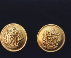 Vintage CASUAL CORNER Matte Gold Tone Crest Shield Button Clip On Earrings