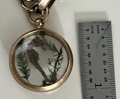 VTG Preserved Seahorse Bracelet Lucite Charm Fob Gold Tone 7″