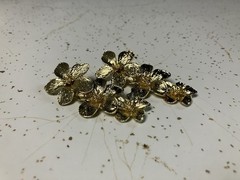 Luxury Shashi Designer Jewelry Bundle -5 Sets of Earrings, Organza, Pearl & More