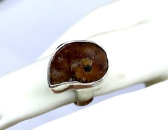 Excellent 450 mil years old Natural Ammonite Fossil .925 Sterling Silver Ring #6