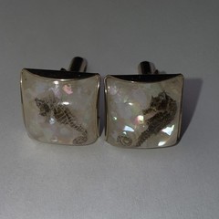 Rare 1960s Genuine Seahorse Confetti Lucite Domed Cuff Links-aquatic Sea Life