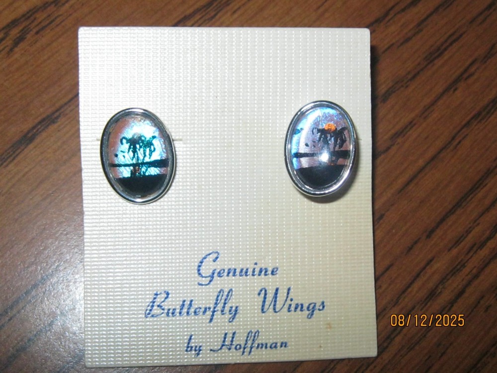 GENUINE BUFFALO WINGS BY HOFFMAN EARRING SET VINTAGE SCREW ON STYLE