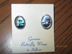 GENUINE BUFFALO WINGS BY HOFFMAN EARRING SET VINTAGE SCREW ON STYLE