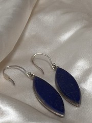 Blue Natural Gemstone Silver tone Dangle Earrings