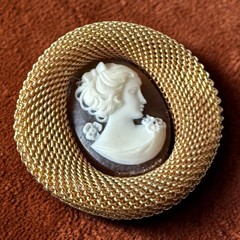 Cameo Brooch Pin Gold Tone Mesh Vintage Lady Portrait Victorian Revival