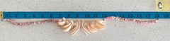 Vintage Philippines Pink Puka Shell Spike Statement Necklace 18″ Beach Vacation