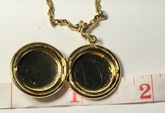 Vintage 1928 Jewelry Co Gold Tone Faux Cameo Locket Necklace Filigree Rope Chain