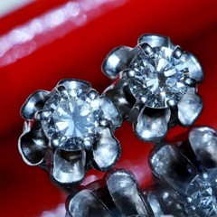14k white gold earrings 0.50ct natural diamond screwback flower stud 1.95g N3762