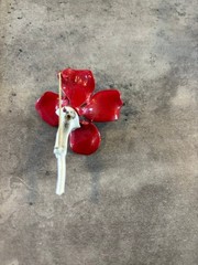 Vintage Red and White Flower with White stem Brooch Pin