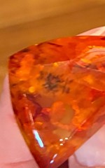 Small Vintage Amber insect fossil Pin Brooch 1.5”