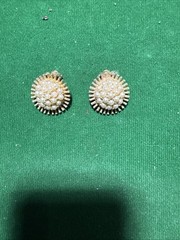 Vintage Clip On Earrings