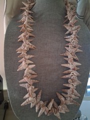 Polynesian seashell vintage ceremonial necklace 36 in. tropical, beach