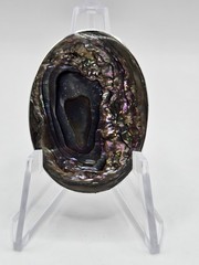 STERLING SILVER MEXICO ABALONE BROOCH/PENDANT